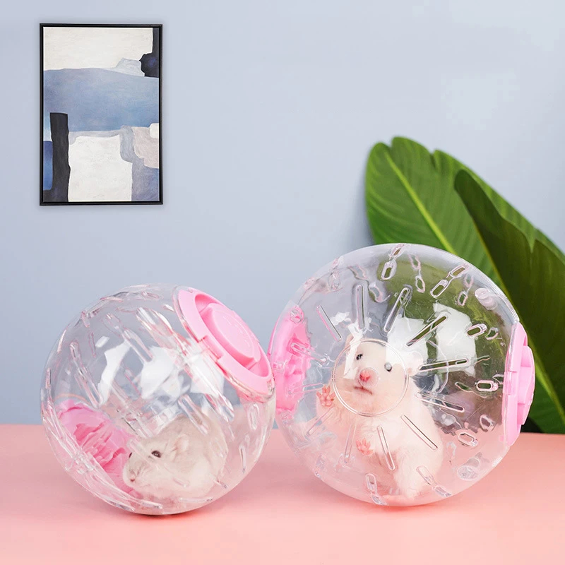 bolinha para hamster