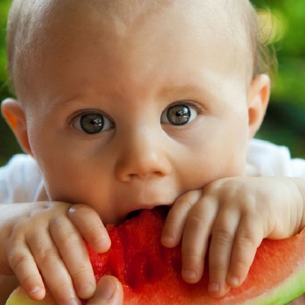 Toddler Veggie Victory