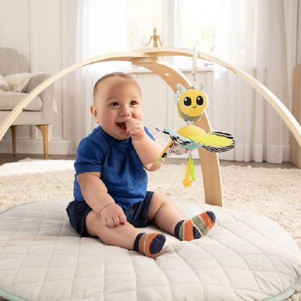 Find out the ideal time to start using a baby play gym