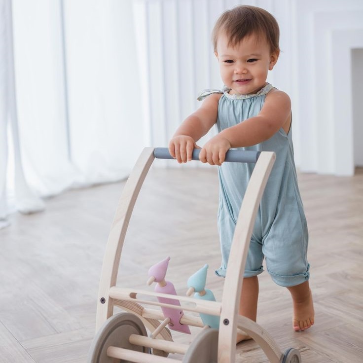 Find out the ideal age for introducing walking toys